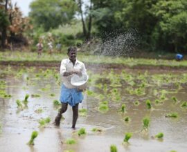 Indian farmers challenges