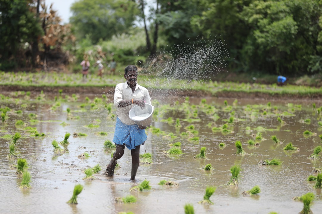 Indian farmers challenges