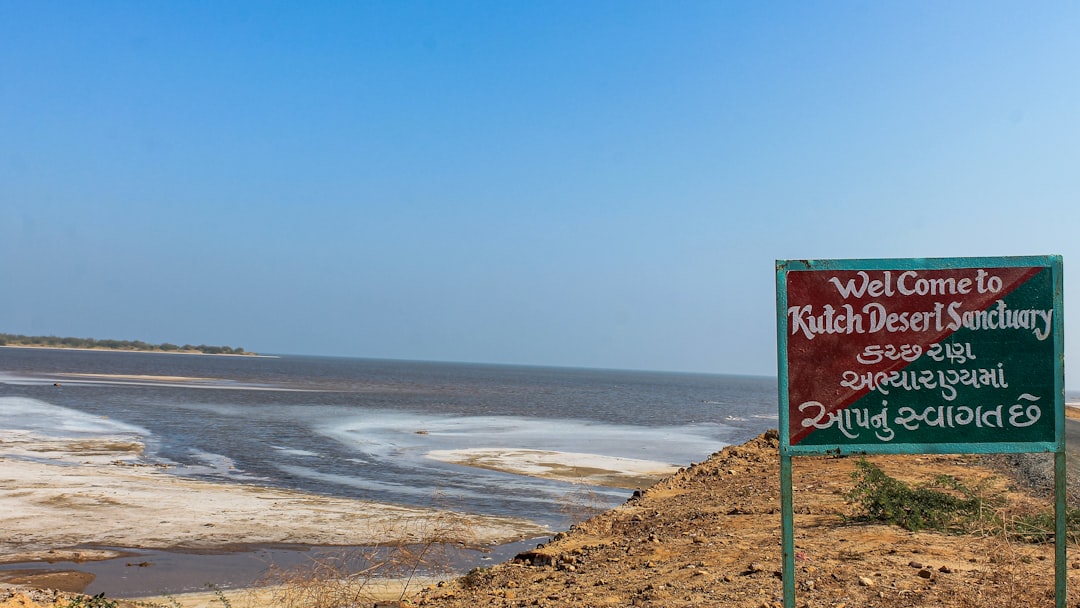 Kutch road accidents